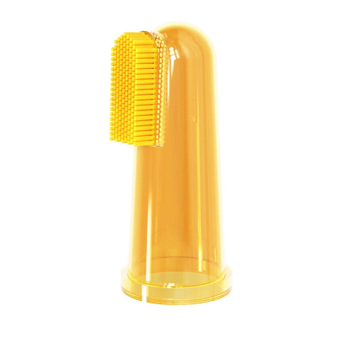 First Teeth Brush Set